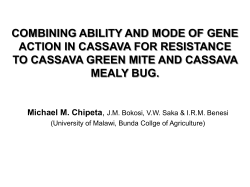 combining ability and mode of gene action in cassava for