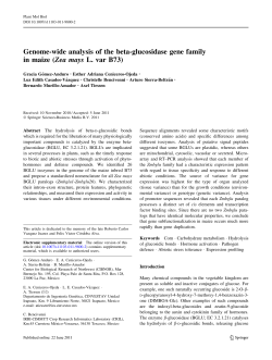 Genome-wide analysis of the beta-glucosidase gene family in maize