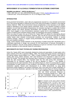 improvement of alcoholic fermentation in extreme conditions