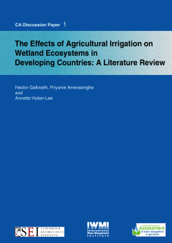 The Effects of Agricultural Irrigation on Wetland Ecosystems in