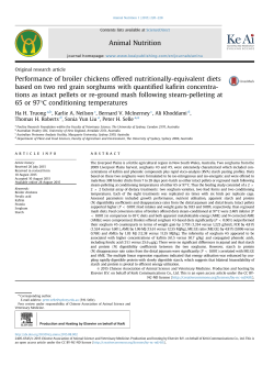 Performance of broiler chickens offered nutritionally