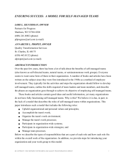 ensuring success: a model for self-managed teams