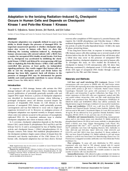 Adaptation to the Ionizing Radiation&ndash;Induced G2 Checkpoint Occurs
