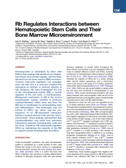 Rb Regulates Interactions between Hematopoietic Stem Cells and