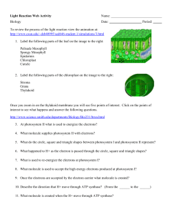 Light Reaction Web Activity Name: Biology Date: Period: To review