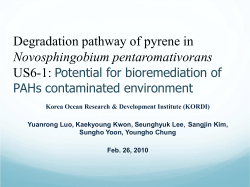 Degradation pathway of pyrene in Novosphingobium