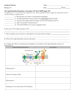 The Light-Independent Reactions: Producing Sugars
