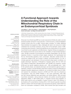 A Functional Approach towards Understanding the Role