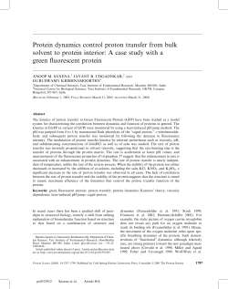 Protein dynamics control proton transfer from bulk solvent to