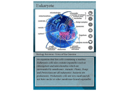 Cell Vocab