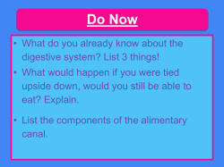 Do Now - Montville.net