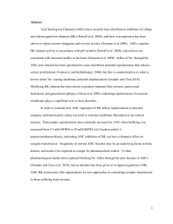 thesis final - complete -