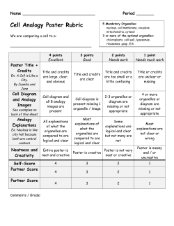 Cell Analogy Poster Rubric