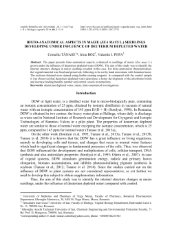 histo-anatomical aspects in maize (zea mays l