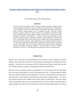 refining carbon sequestration estimates of seagrass meadows in