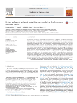Design and construction of acetyl