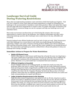 Landscape Survival Guide During Watering Restrictions