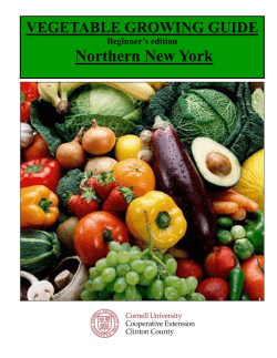 Vegetable Growing Guide - Beginners Edition Northern NY