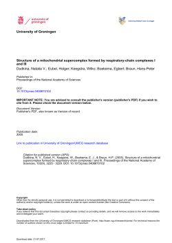 University of Groningen Structure of a mitochondrial supercomplex