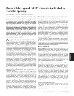 Ozone inhibits guard cell K channels implicated in stomatal