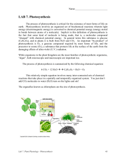 Science 226 Photosynthesis