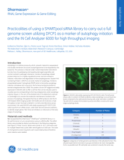 Practicalities of using a SMARTpool siRNA library to carry out a full