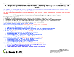 6.1 Explaining Other Examples of Plants Growing, Moving