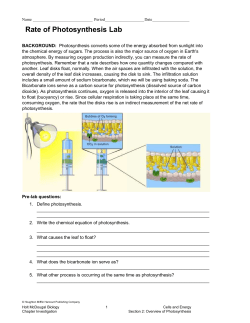 Rate of Photosynthesis Lab
