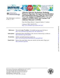 Adhesion Molecule-1 (CD106) Antigen
