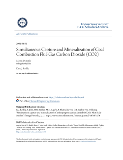 Simultaneous Capture and Mineralization of Coal Combustion Flue