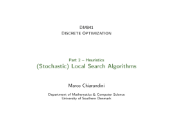 (Stochastic) Local Search Algorithms