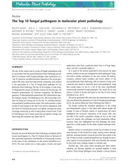 The Top 10 fungal pathogens in molecular plant pathology