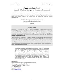 Cameroon Case Study: Analysis of National Strategies for