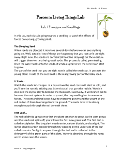 Forces in Living Things Lab