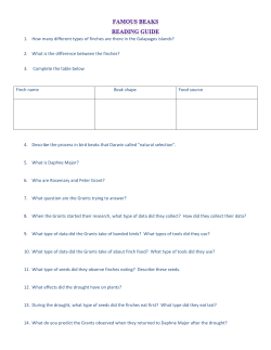 Part 1 Islands and Finches Measuring Galapagos Island Finch Beak