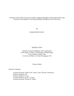 interactive effects of elevated carbon dioxide