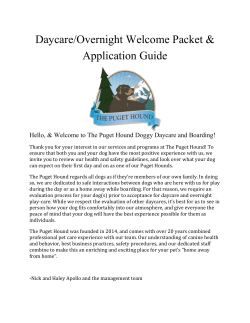 Overnight Play-Care Evaluations