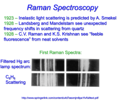 Raman Spectroscopy