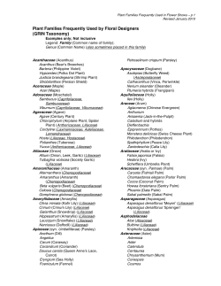 Plant Families Frequently Used by Floral Designers