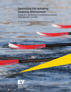 Optimizing the actuarial modeling environment