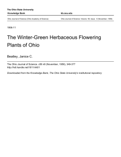 The Winter-Green Herbaceous Flowering Plants