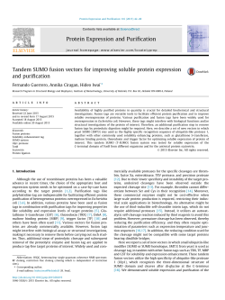 Tandem SUMO fusion vectors for improving soluble protein