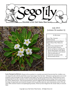 July 2013 (volume 36 number 4)