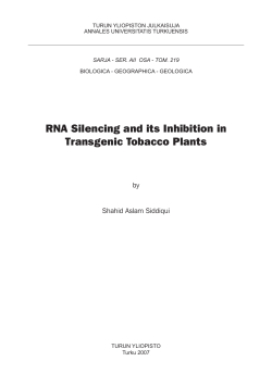 RNA Silencing and its Inhibition in Transgenic Tobacco Plants