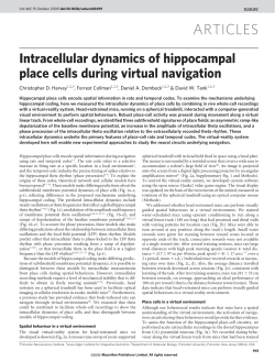 Intracellular dynamics of hippocampal place cells