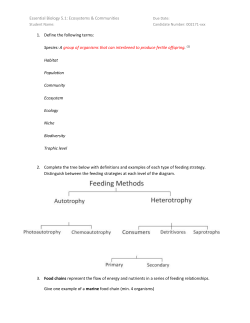 Give one other example of a food chain (min. 4 organisms)
