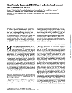 Direct Vesicular Transport of MHC Class II Molecules from