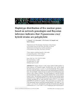 Haplotype distribution of five nuclear genes based on - Funpec-RP