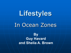Ocean Zones