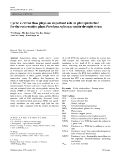 Cyclic electron flow plays an important role in photoprotection for the